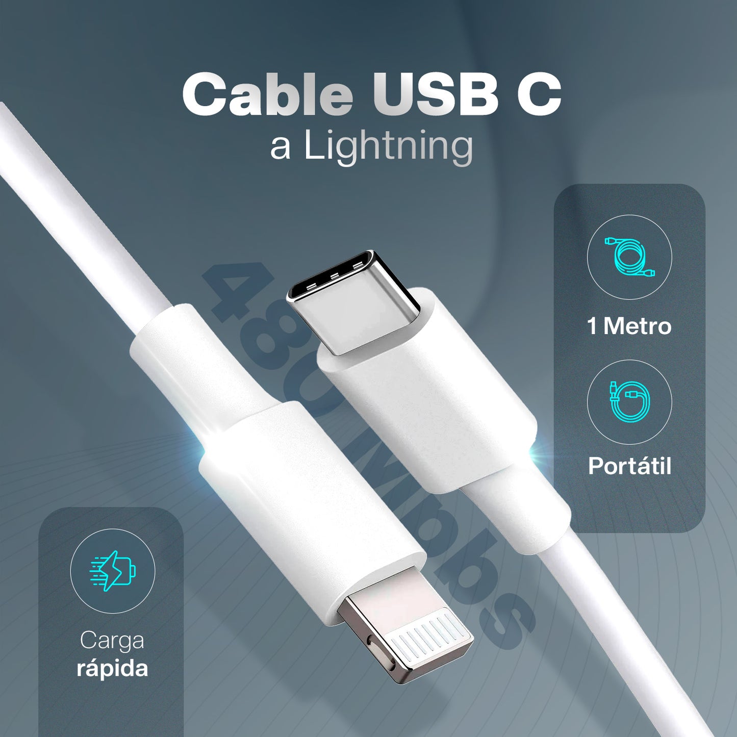 Cable De Carga USB-C a Lightning
