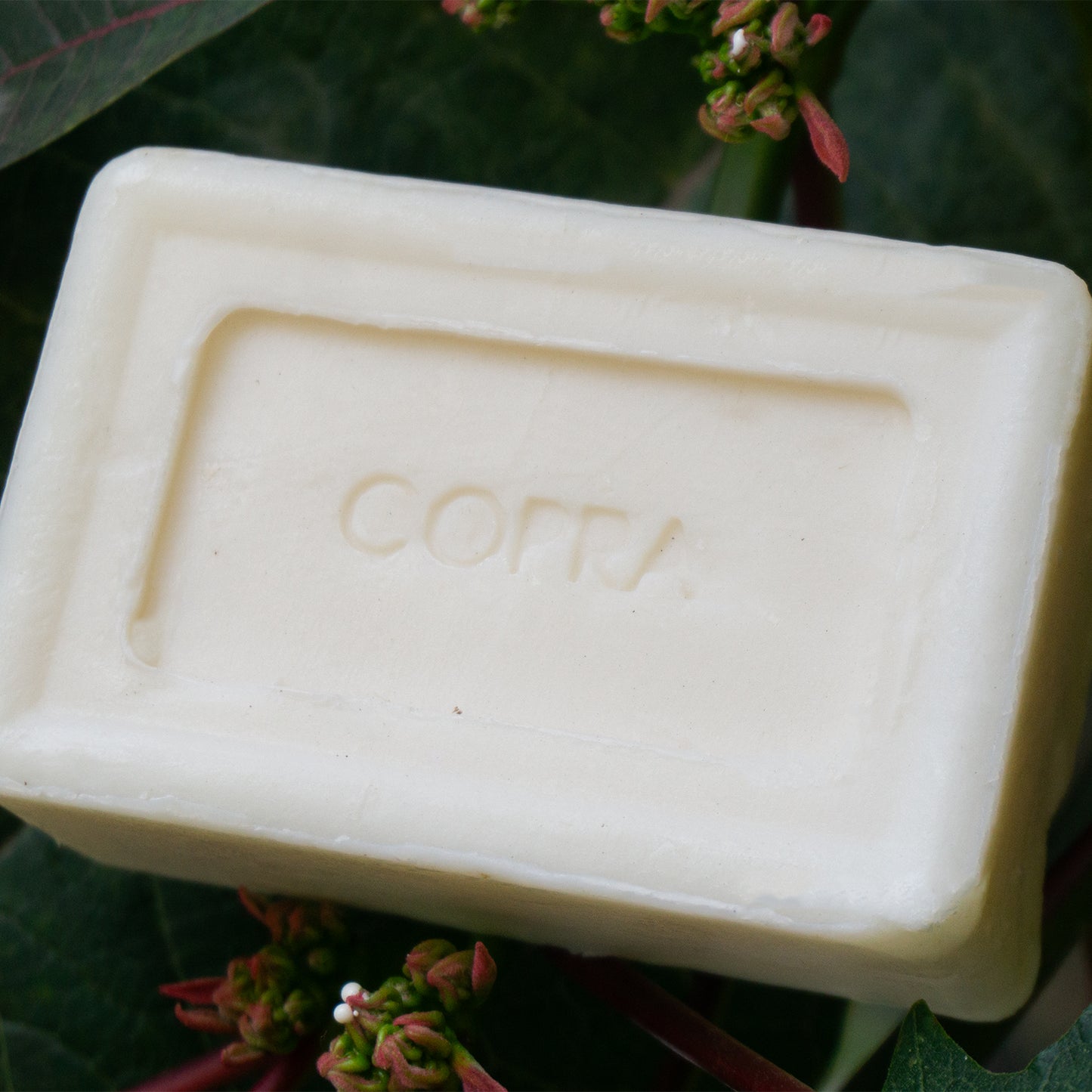 Jabón Artesanal Corporal Hidratante Coco Y Cacahuananche 120 grs